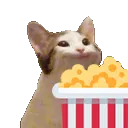 popcorncat