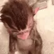 monkeebath