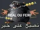 RealOuFeiki