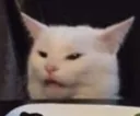 watcat