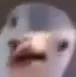 wtf