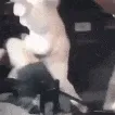 beatup