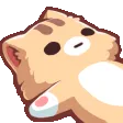 nkoLostSpin