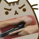 pusheen_gun