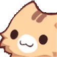 nkoHeadpat