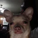 9e87f2a87aed55ad6de1b61bb319b954