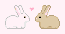 bun4