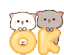 cat_ok