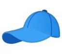 stpthecap