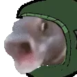 lennicFish