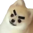 NEK_WotDoggo