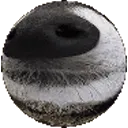 TPglobe TPglobe