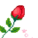redrose