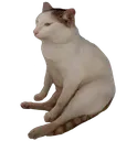 HGcatsit HGcatsit