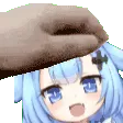Pet_I13