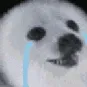 dogsad