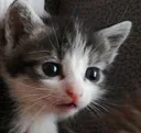 emoji_17 emoji_17