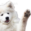 dog_wave Discord emoji