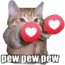 pewpew pewpew