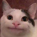 CattoSmile Discord emoji