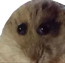 cheemsemonster