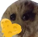 cheesylove cheesylove