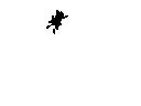 bug5