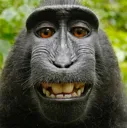monke