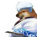 cheemtoki