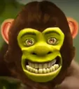 c2_ShrekMonkey