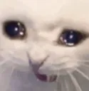 cri