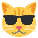 aaacoolcat