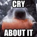 cryaboutit cryaboutit