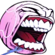 meiaLETSGO meiaLETSGO