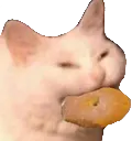bagel