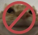 AYS_nocot AYS_nocot