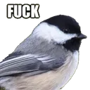 wasala