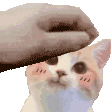 Catpat catpat Discord Emoji