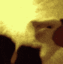 dvls_cat8