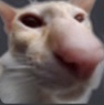 sussususus Discord emoji