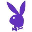 purplebunny2