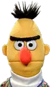 bert