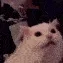 ds_catrave ds_catrave
