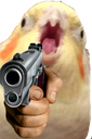 angryborbwithgun custom emote - Niveous Gaming