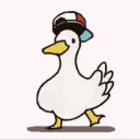 duck