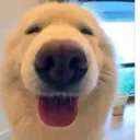 urcool