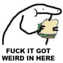 fh_tfFuckitgotweird