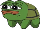 mr_pepe_turtle