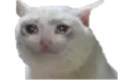 crycat
