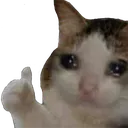 SadCatThumbsUp SadCatThumbsUp